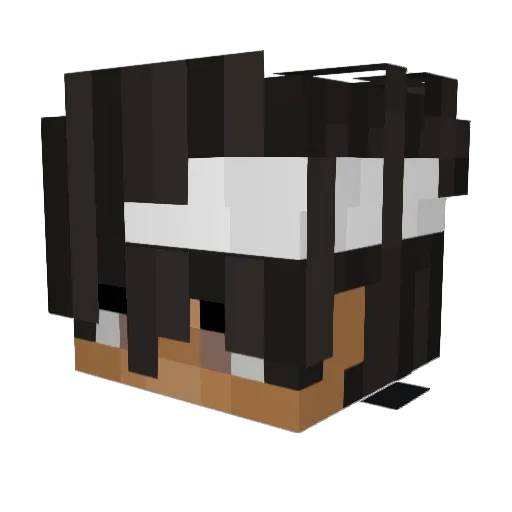 Monesyo Minecraft avatar head, 3D render