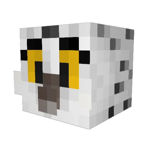 MonetaryFish Minecraft avatar head, 3D render