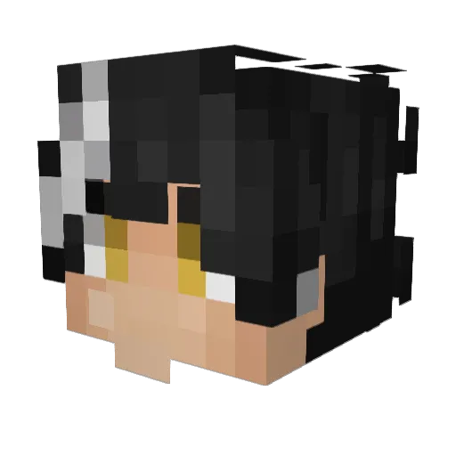 MonetaryTree953 Minecraft avatar head, 3D render