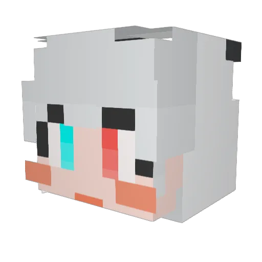 Money0626 Minecraft avatar head, 3D render