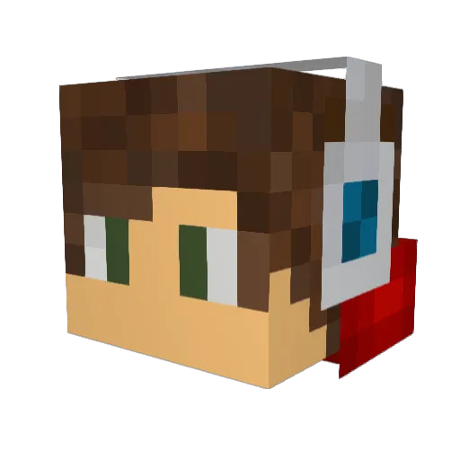 Money221 Minecraft avatar head, 3D render