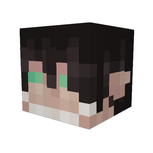MoneyBillions Minecraft avatar head, 3D render