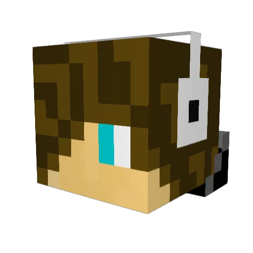 MoneyBrah Minecraft avatar head, 3D render