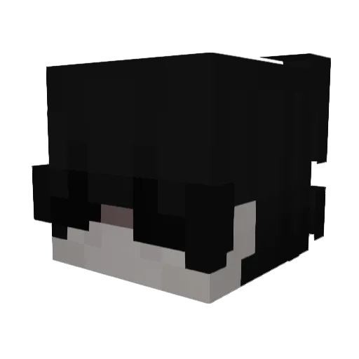 Money_tom123 Minecraft avatar head, 3D render