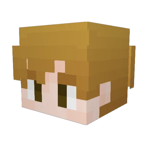 Moneyainteasy Minecraft avatar head, 3D render