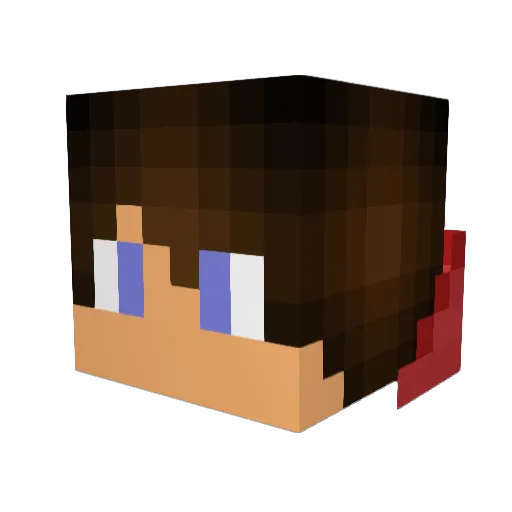 MoneyyShot_ Minecraft avatar head, 3D render