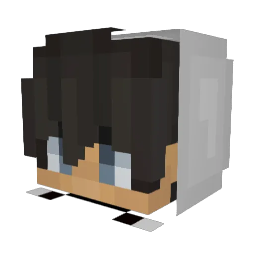 Monfy666 Minecraft avatar head, 3D render