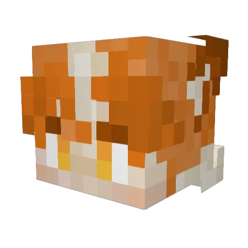 Mongo0ose Minecraft avatar head, 3D render