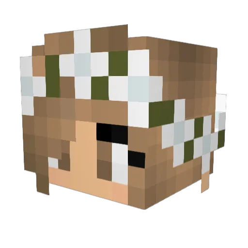 Mongolid Minecraft avatar head, 3D render