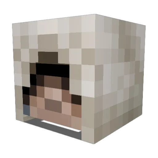Monguicio Minecraft avatar head, 3D render