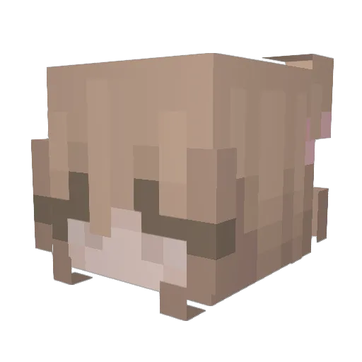 MonikaZ Minecraft avatar head, 3D render
