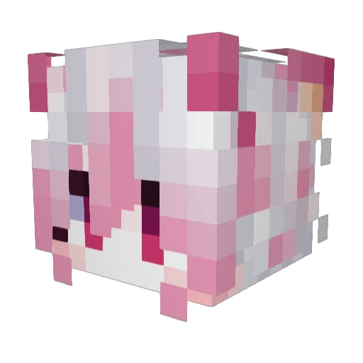 Monisthebest Minecraft avatar head, 3D render