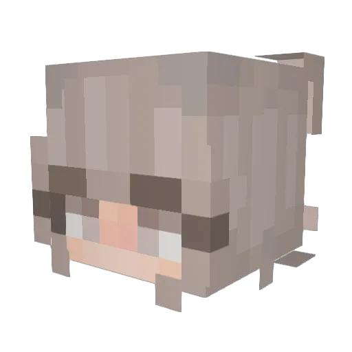 Monitaxx Minecraft avatar head, 3D render