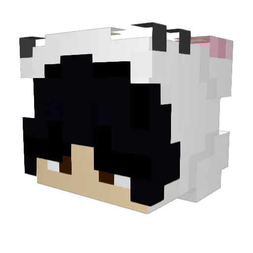Monito_beee Minecraft avatar head, 3D render