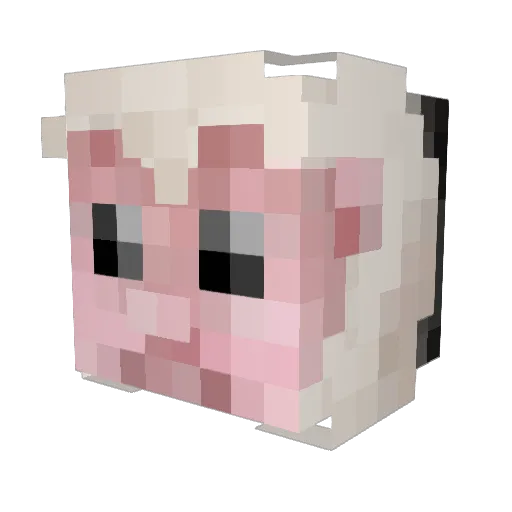 Monkesomnia Minecraft avatar head, 3D render