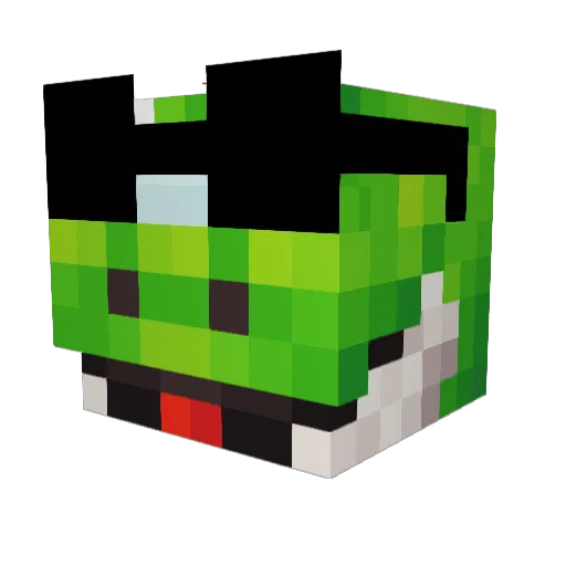 MonkeyAngel1406 Minecraft avatar head, 3D render