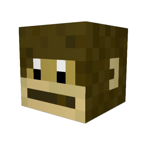 MonkeyBoyHenry Minecraft avatar head, 3D render
