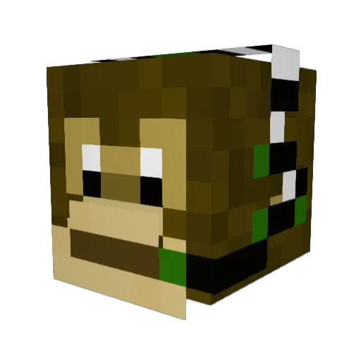 MonkeyBunDey Minecraft avatar head, 3D render