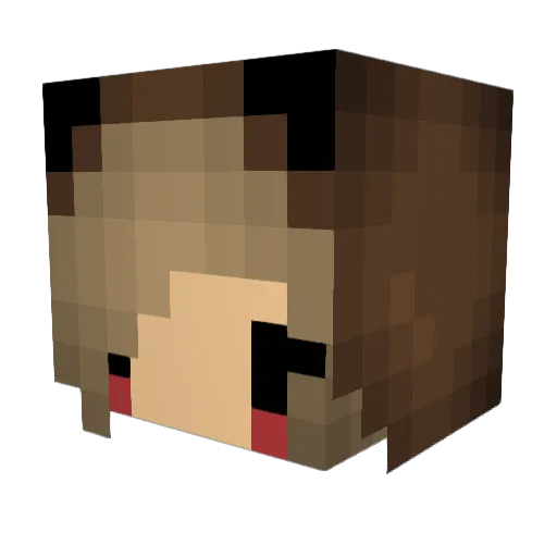 MonkeyCoi Minecraft avatar head, 3D render