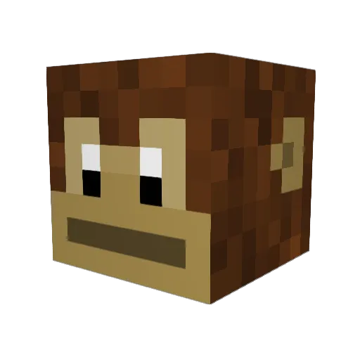 MonkeyMafia0 Minecraft avatar head, 3D render