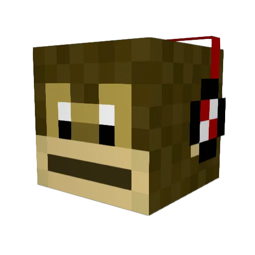 MonkeyMan3004 Minecraft avatar head, 3D render