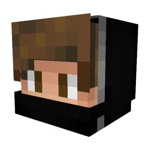 MonkeyMaxi2210 Minecraft avatar head, 3D render