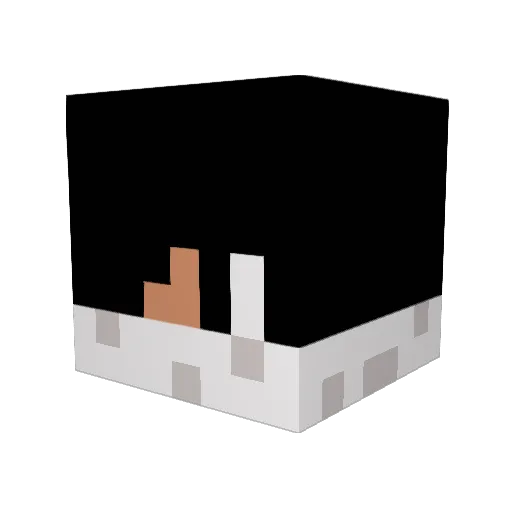 MonkeyNigger Minecraft avatar head, 3D render