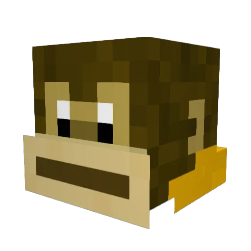 MonkeyNut69420 Minecraft avatar head, 3D render