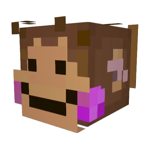 MonkeyPlayzXD Minecraft avatar head, 3D render