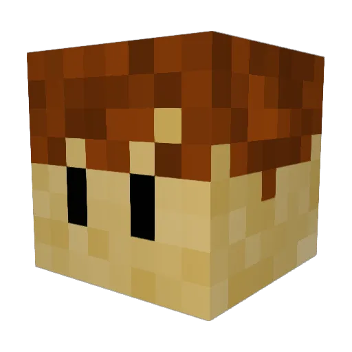 MonkeyRoos Minecraft avatar head, 3D render