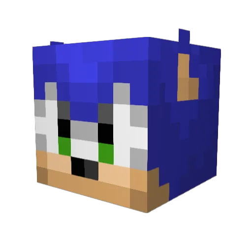 Monkeypickleboy Minecraft avatar head, 3D render