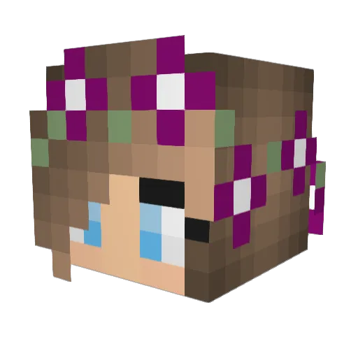 Monkeytoots Minecraft avatar head, 3D render
