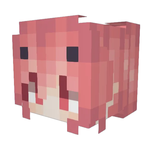 Monocchii Minecraft avatar head, 3D render