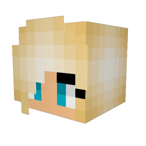 Monogomous Minecraft avatar head, 3D render