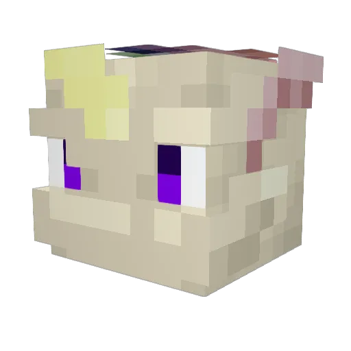 Monopodd Minecraft avatar head, 3D render