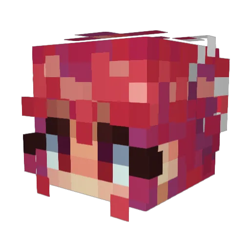 MonorailMoth Minecraft avatar head, 3D render