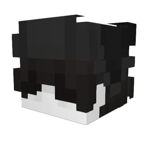 Monosyte Minecraft avatar head, 3D render
