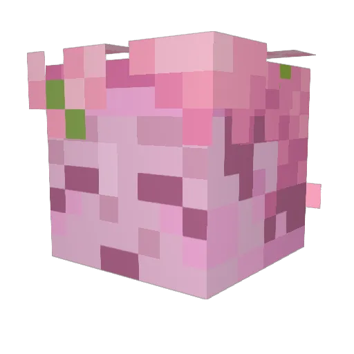 Monozari Minecraft avatar head, 3D render