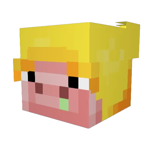 MonsiGubben Minecraft avatar head, 3D render