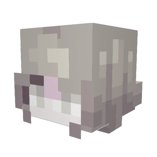 MonsieurMeringue Minecraft avatar head, 3D render