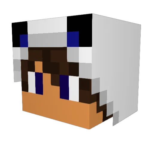 MonsterBest_888 Minecraft avatar head, 3D render