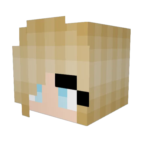 MonsterGirl789 Minecraft avatar head, 3D render