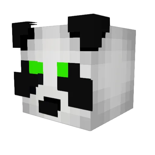 MonsterMaster47 Minecraft avatar head, 3D render