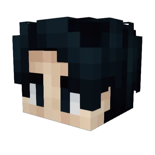 MonsterMonkeyd Minecraft avatar head, 3D render