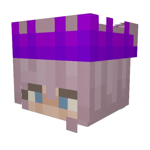 MonsterSlugs Minecraft avatar head, 3D render