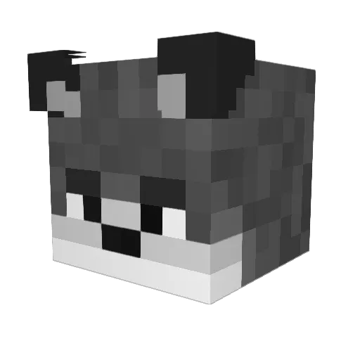 MonsterWolfi92 Minecraft avatar head, 3D render