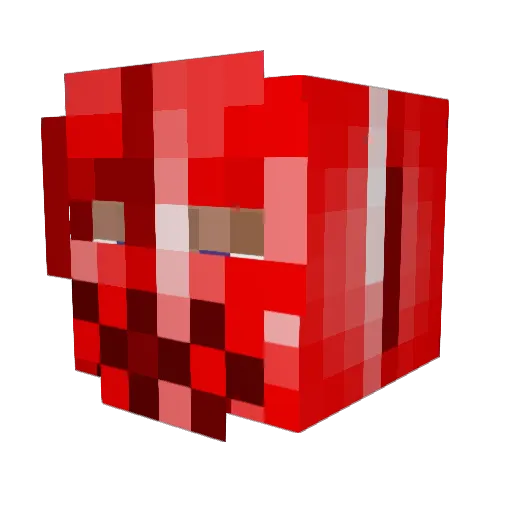 Monsterpanda100 Minecraft avatar head, 3D render
