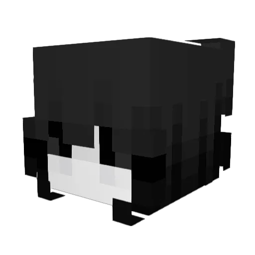 MontClairBridger Minecraft avatar head, 3D render