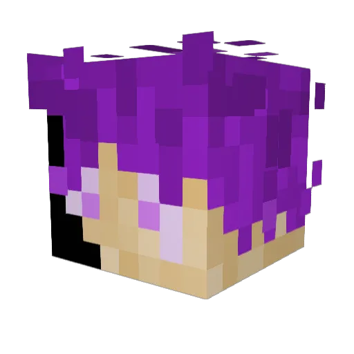MontMerity Minecraft avatar head, 3D render