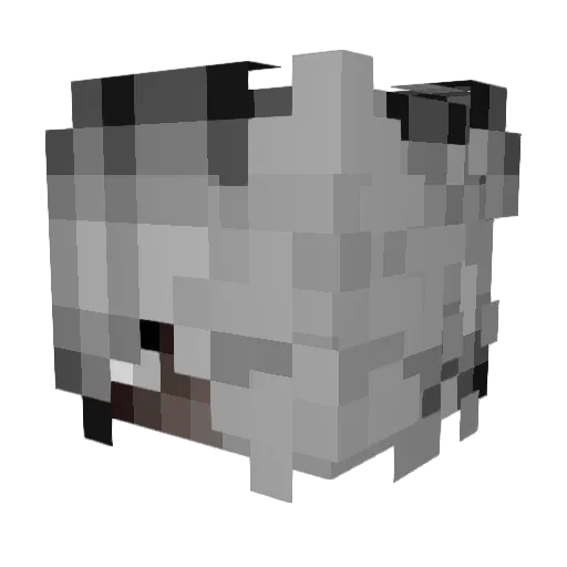 MontanaElite Minecraft avatar head, 3D render